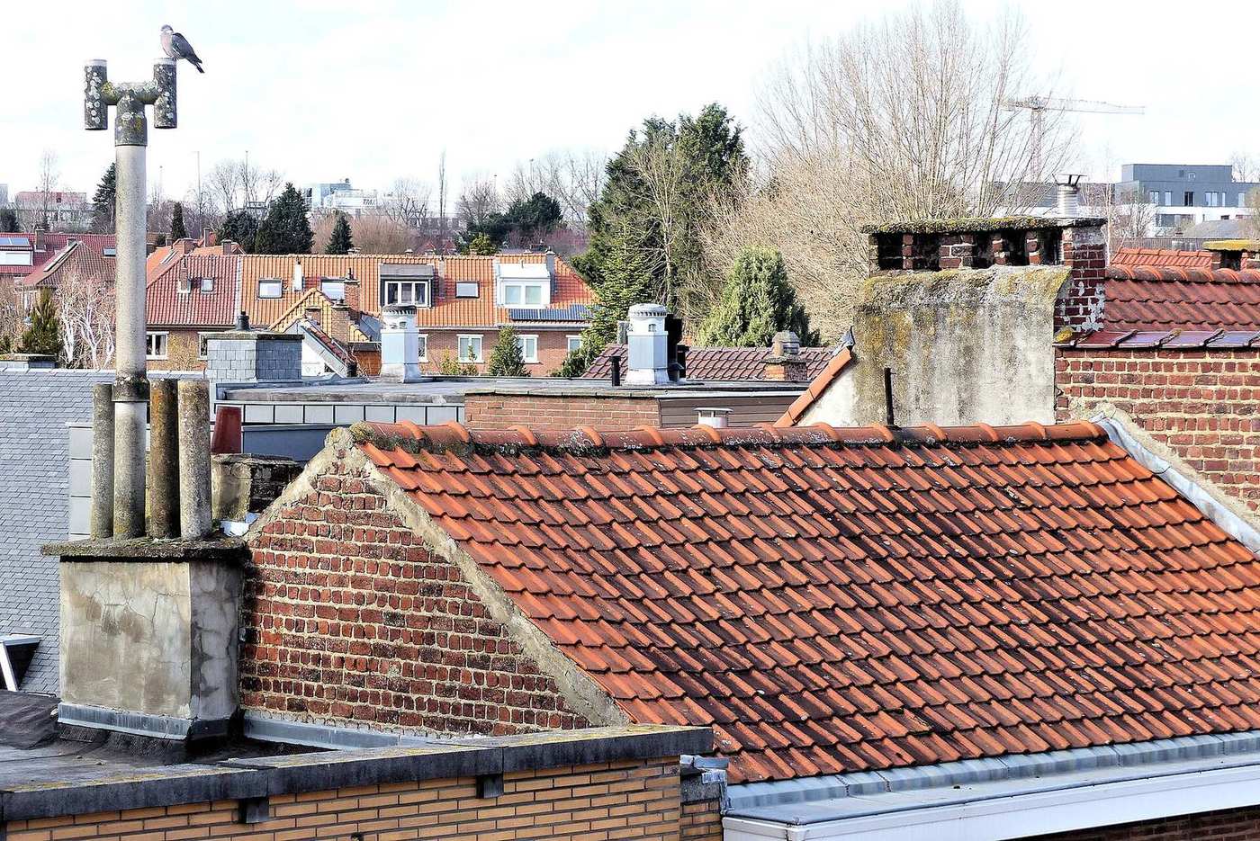 Uitzicht over rode pannendaken en schoorstenen